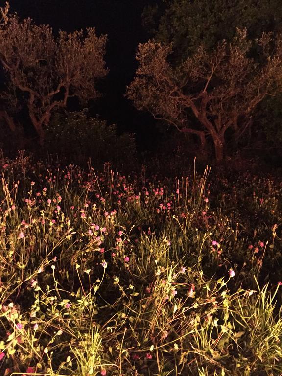 B&B Il Grotto Bevagna Bagian luar foto