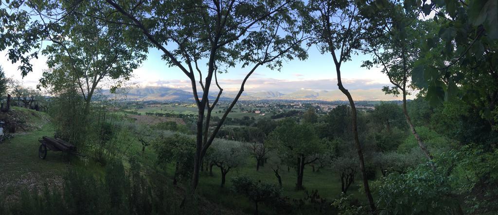 B&B Il Grotto Bevagna Bagian luar foto
