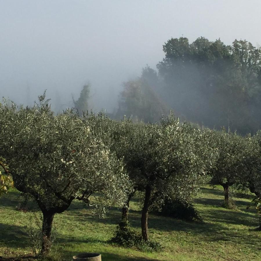 B&B Il Grotto Bevagna Bagian luar foto