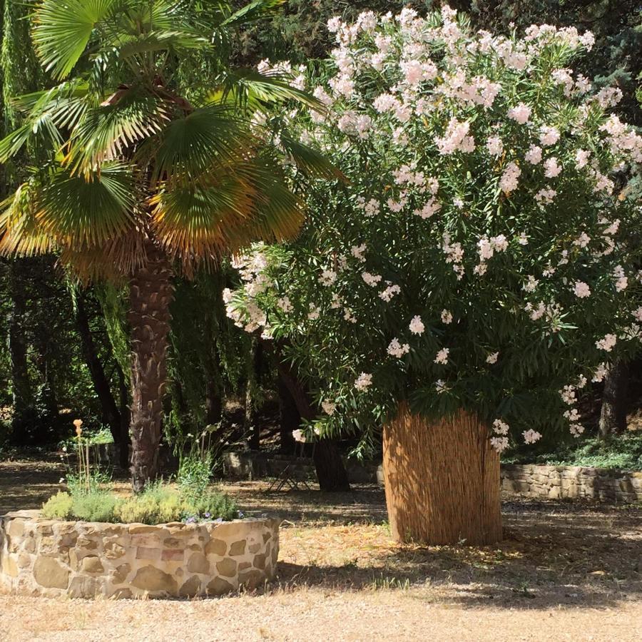 B&B Il Grotto Bevagna Bagian luar foto