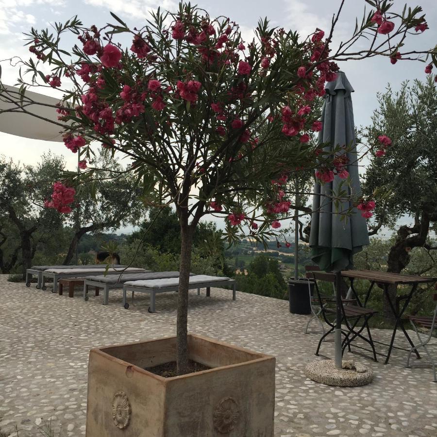 B&B Il Grotto Bevagna Bagian luar foto